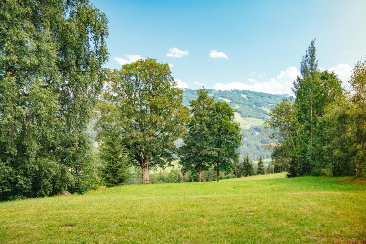 Landhaus Blaubeerhuegel Βίλα Ramsau am Dachstein Εξωτερικό φωτογραφία