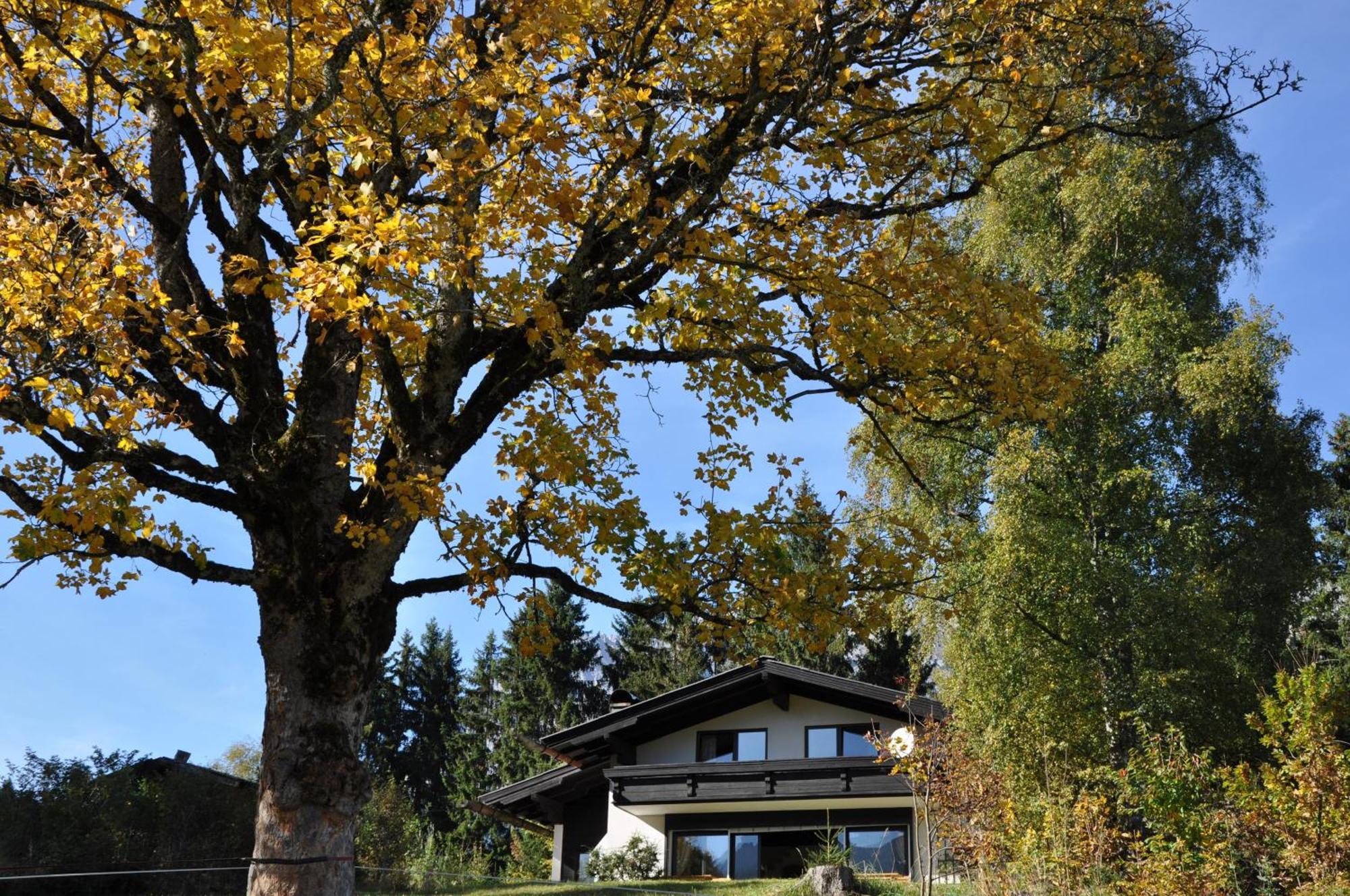 Landhaus Blaubeerhuegel Βίλα Ramsau am Dachstein Εξωτερικό φωτογραφία