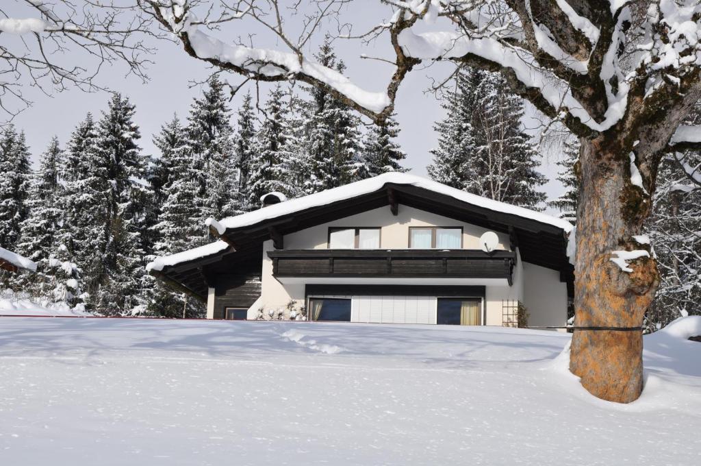 Landhaus Blaubeerhuegel Βίλα Ramsau am Dachstein Εξωτερικό φωτογραφία