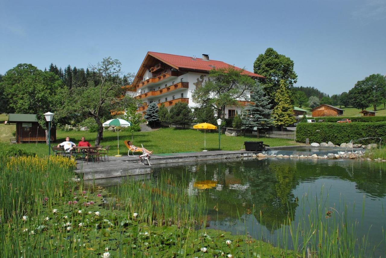 Landhaus Blaubeerhuegel Βίλα Ramsau am Dachstein Εξωτερικό φωτογραφία